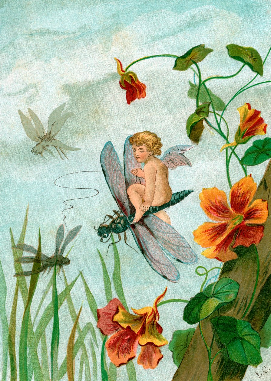 Nasturtium Flowers yakınındaki bir Yusufçuk Binme Kanatlı Peri by Unknown artist