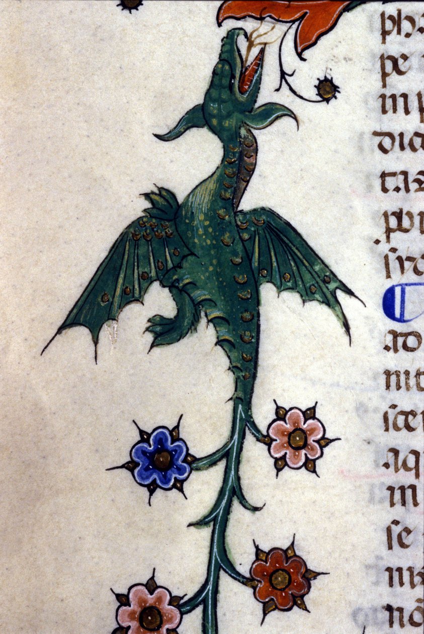 Kanatlı ejderha, Caspic, 14. yüzyıldan kalma bir el yazması Milan, Biblioteca Nazionale Braidense. by Unknown artist