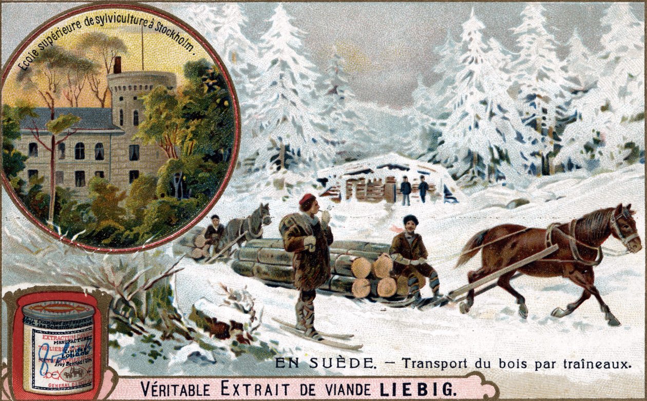 Kızaklarla ahşap taşıma, İsveç. Kromolitografi, Liebig görüntüsü. by Unknown artist