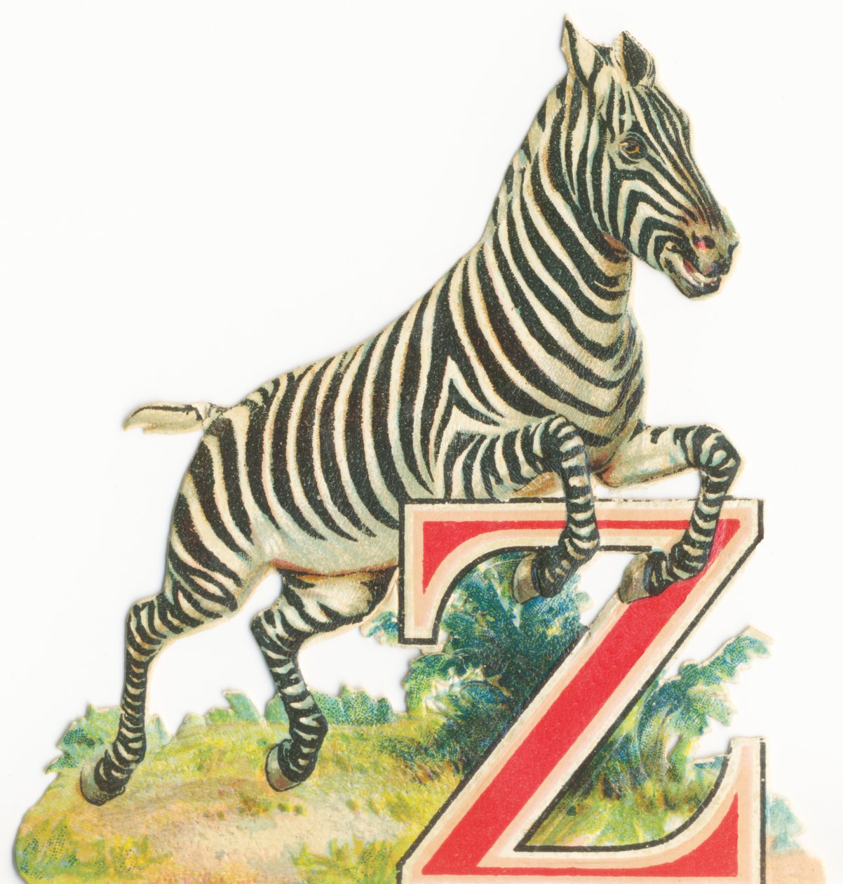 Gönderen: Zebra by Unknown artist