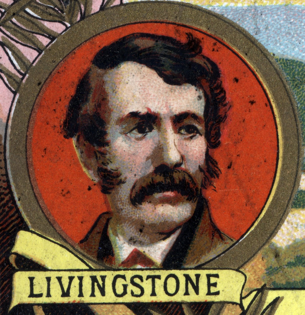 David Livingstone (1813-1873) İskoç misyoner ve kaşif portresi. 19. yüzyılın sonlarında kromolitografi. by Unknown artist
