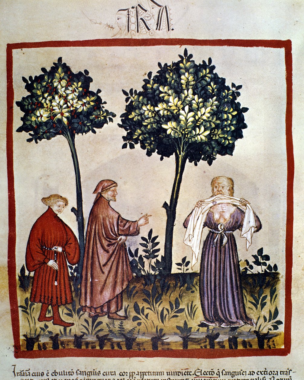 kuduz veya sinirli kişinin dişlerinin arasına doku sıkması. 14. yüzyıla ait “Tacuinum Sanitatis” aydınlatması, Viyana, Milli Kütüphane. by Unknown artist