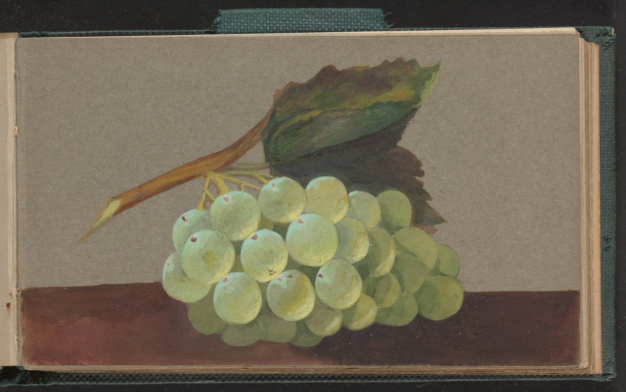 bir salkım üzüm by Unknown artist