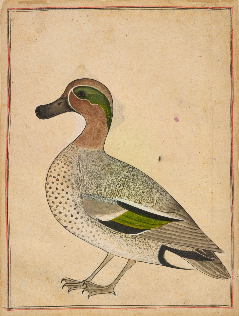 Yeşil Kanatlı Bir Teal by Unknown artist