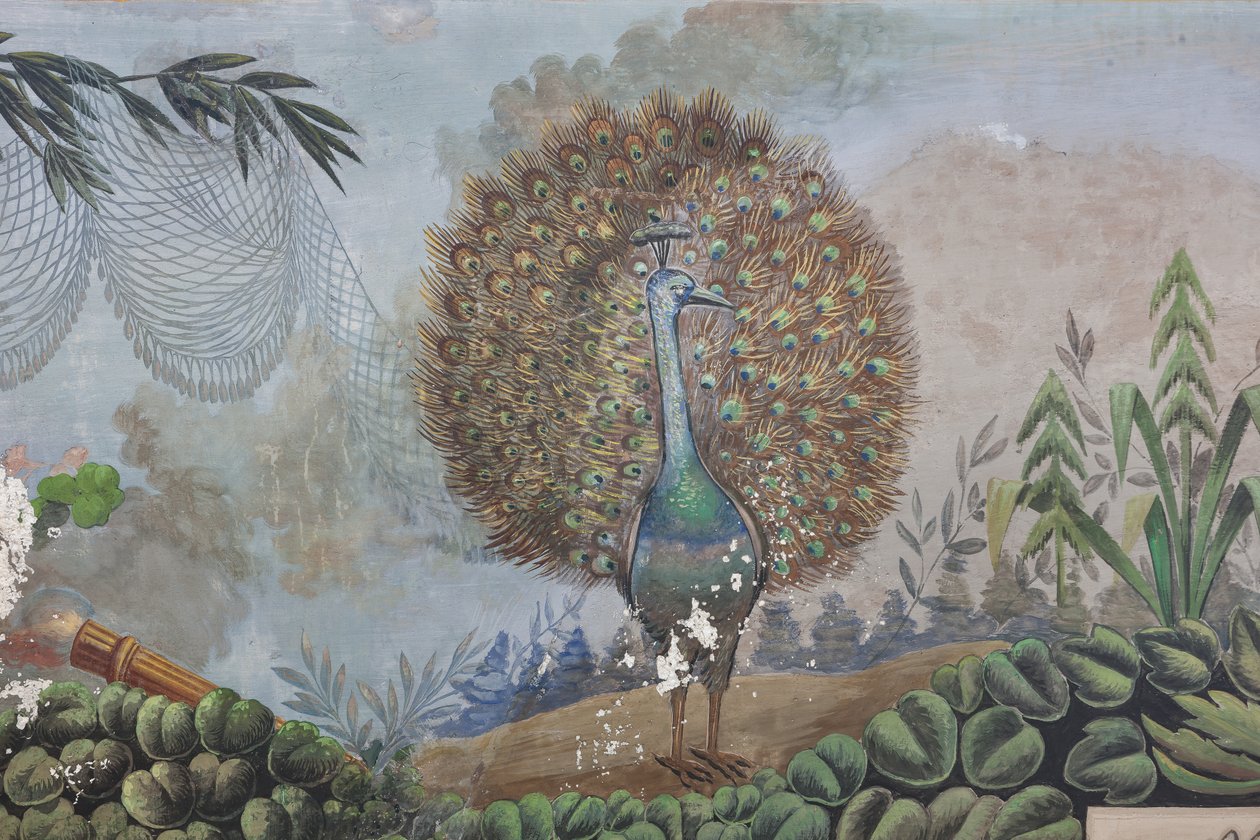 Bir Tavus Kuşu, detay 3743687 (fresk) by Unknown artist