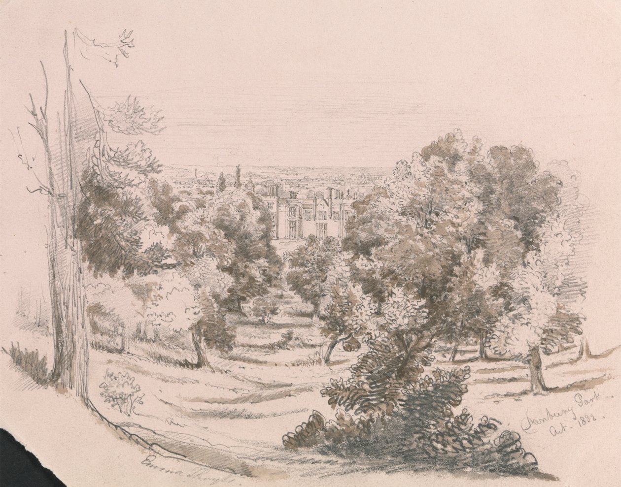 Danbury Parkı'ndan Bir Görünüm by Unknown artist