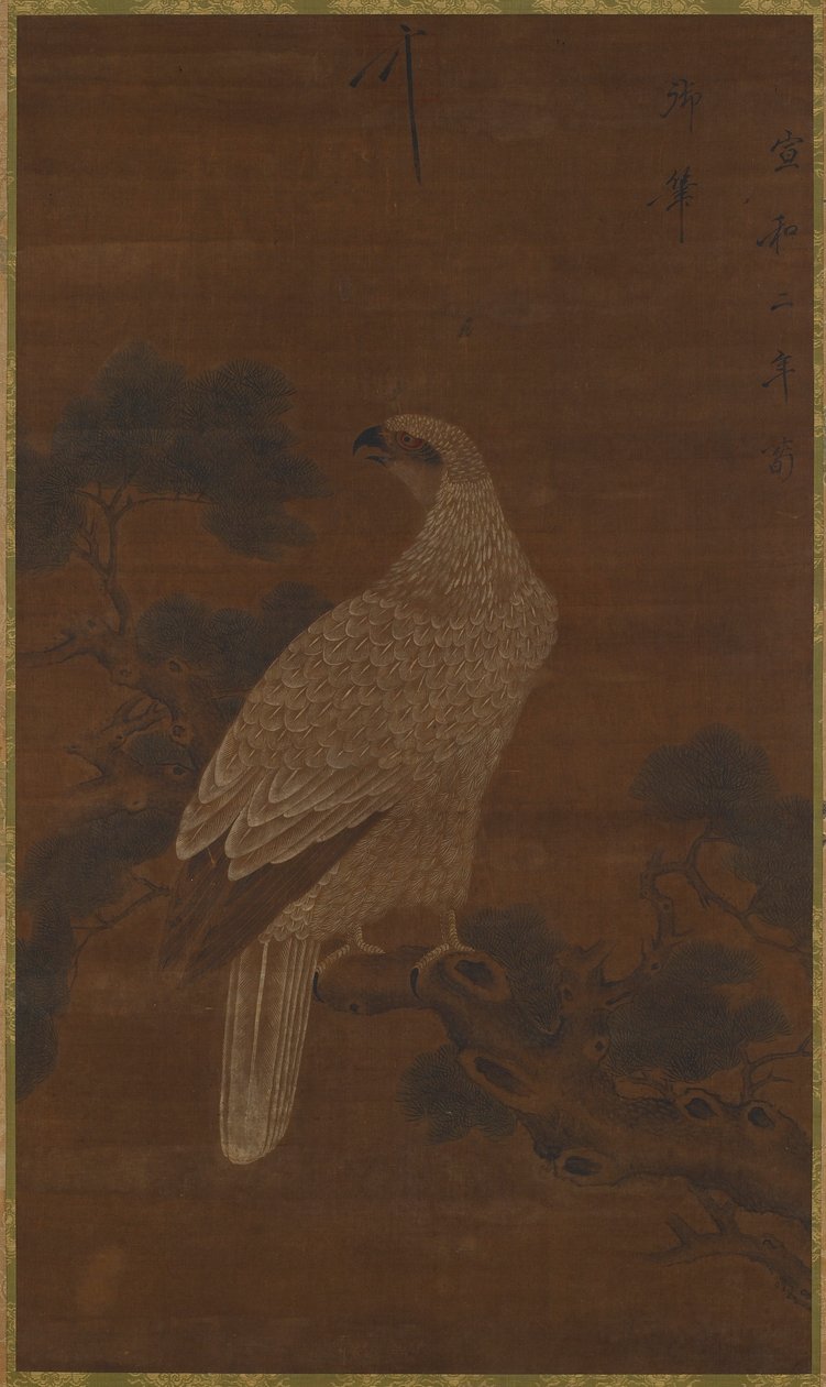 Çam dalı üzerinde beyaz bir kartal by Unknown artist