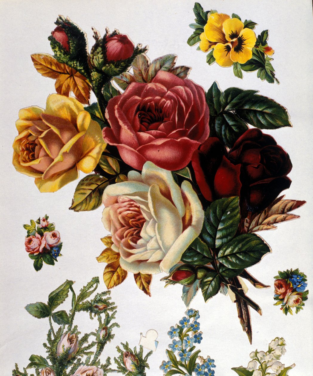 Bir buket gül. 19. yüzyıl kromolitografisi. by Unknown artist