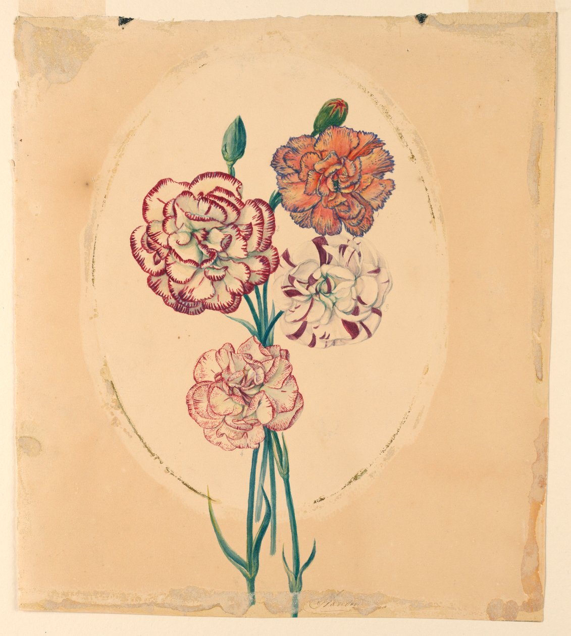 Bir demet dört karanfil by Unknown artist