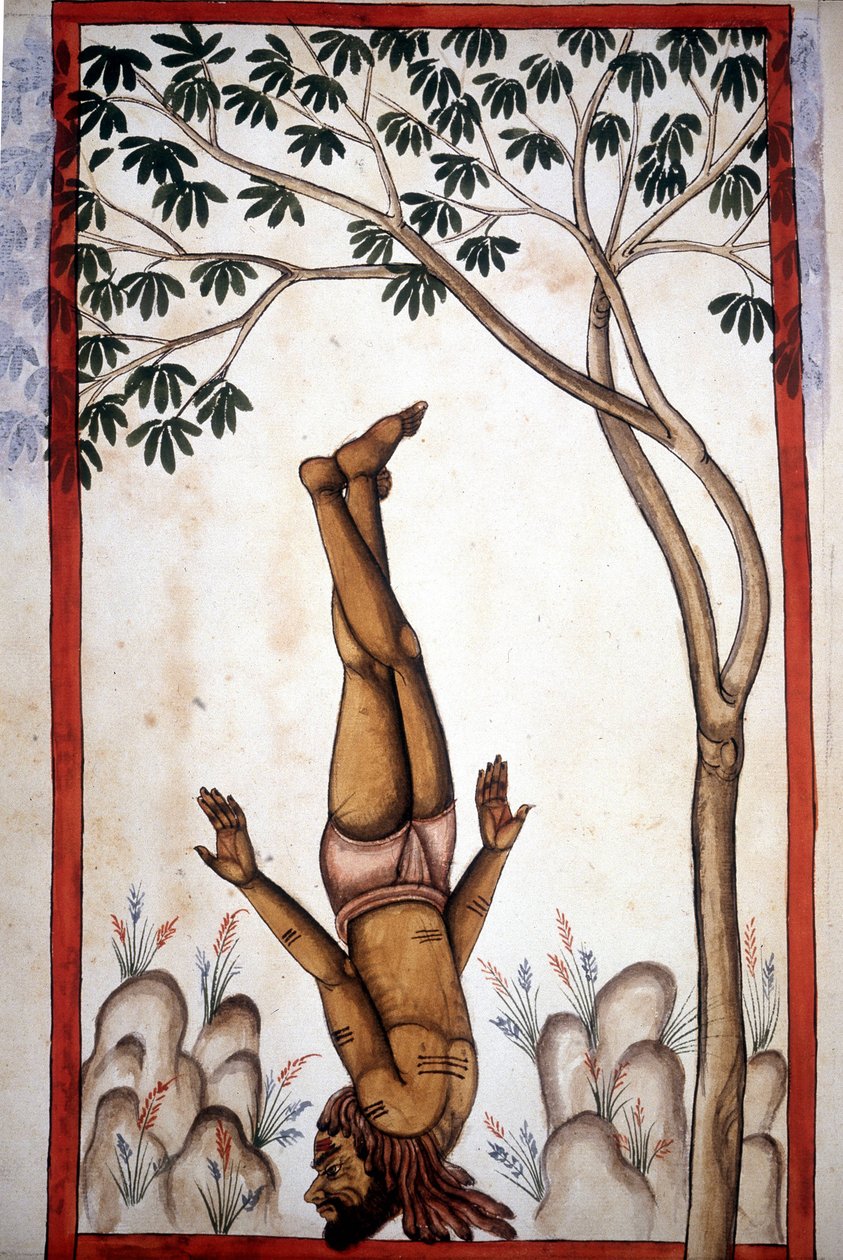 Stefano Nivibus Cardeira