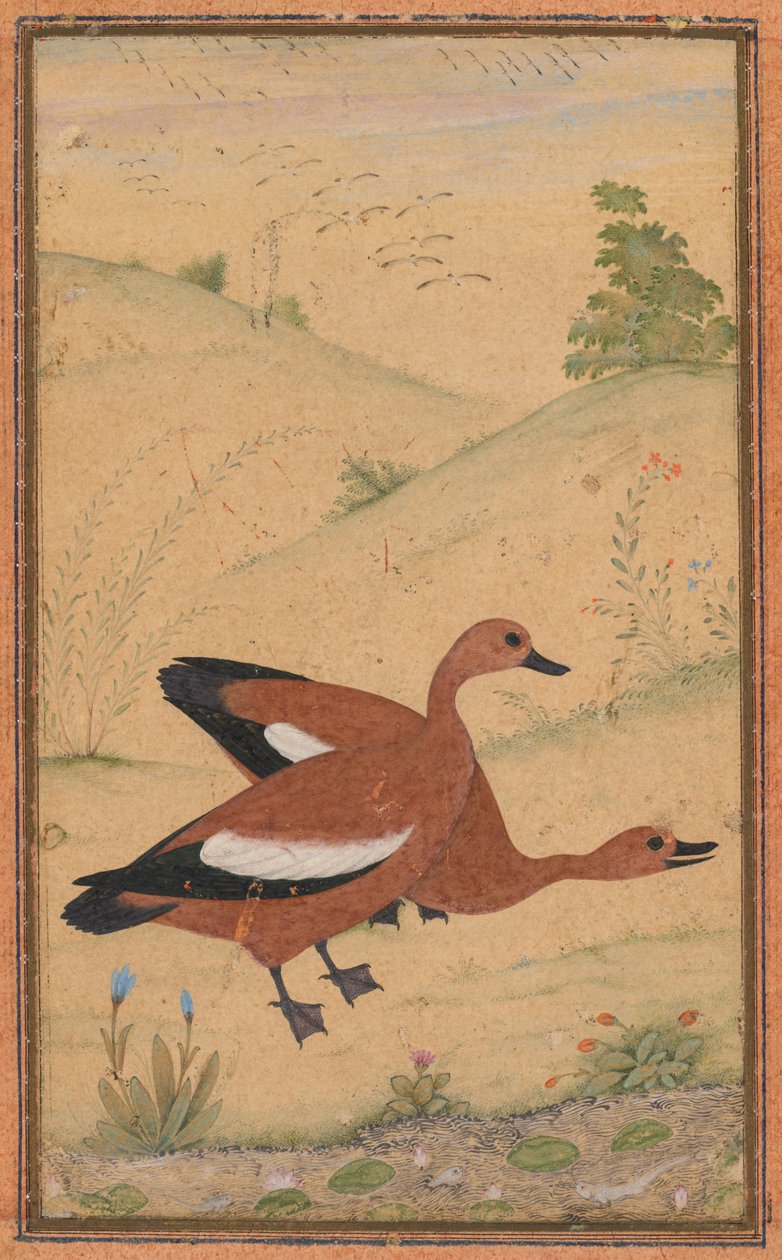 Bir çift Brahminy ördeği by Unknown artist