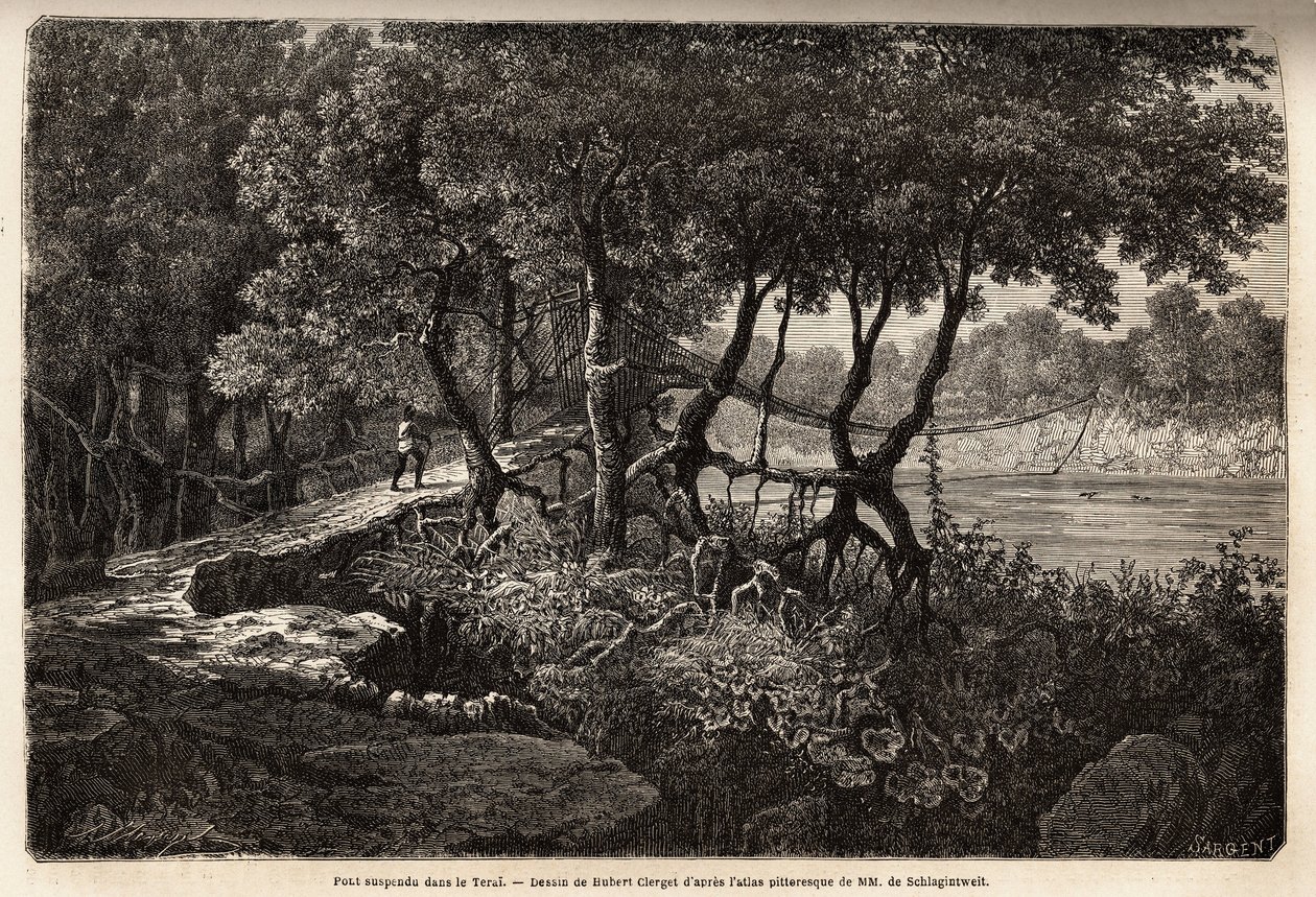 Terai