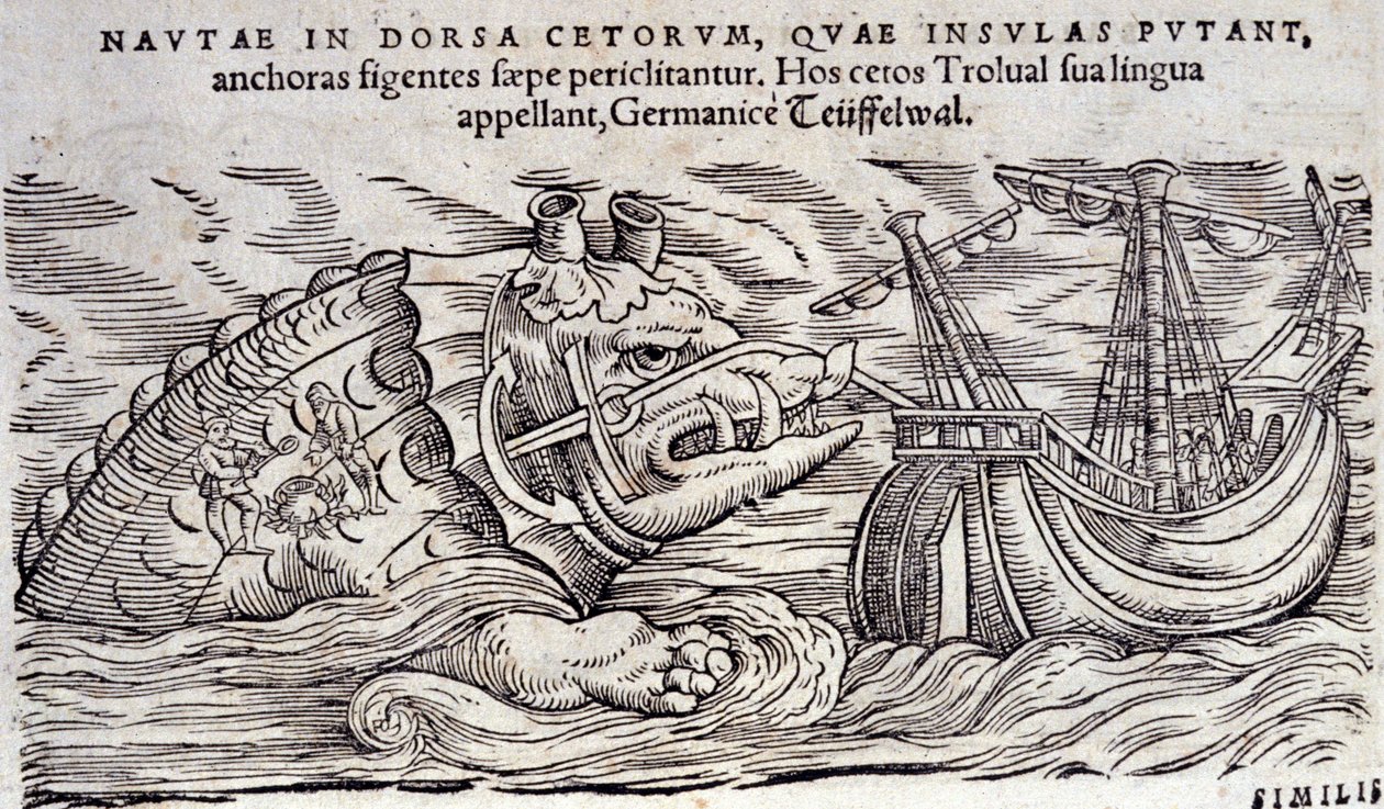 Bir ada ile karıştırılan bir balina. İki kişi bir deniz canavarının sırtına ateş yakar. Gravür n Historia Animalium Conrad Gesner (1516-1565), Tiguri by Unknown artist