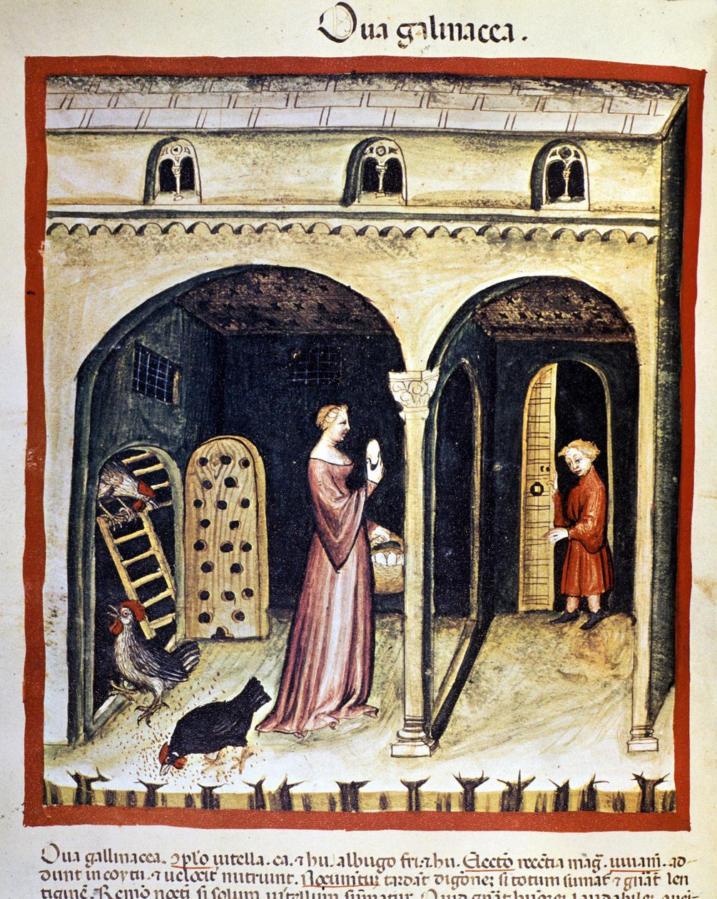 Genç bir kadın tavuk yumurtası alıyor. İlaç ve diyetetik sağımlarından aydınlatma “” Tacuinum sanitatis”” by Unknown artist
