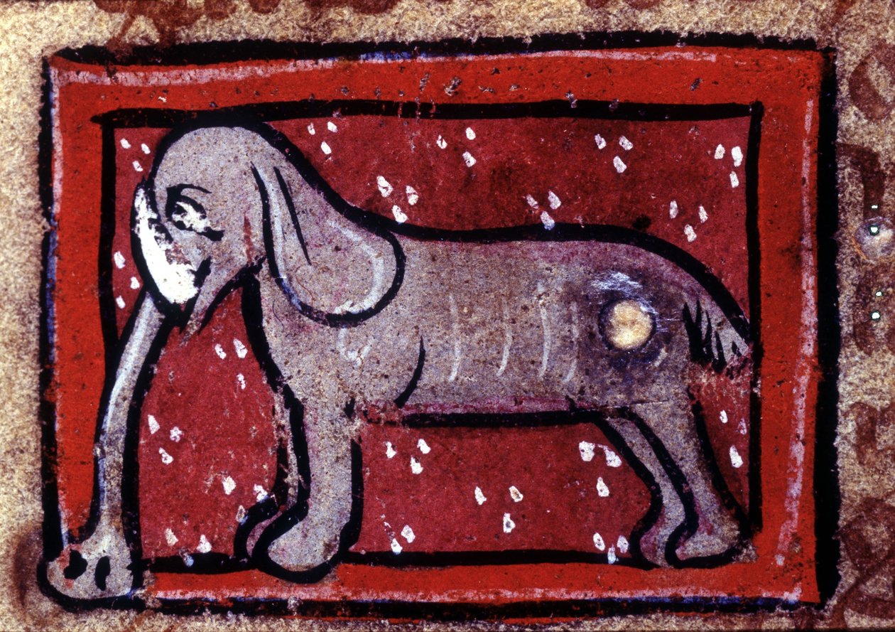 Bir fil - 14. yüzyılın hayvanat bahçesi. Milano, Biblioteca Trivulziana. by Unknown artist