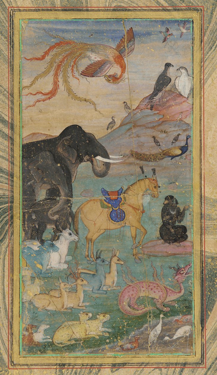 Hayvanlar ve Kuşlar by Unknown artist