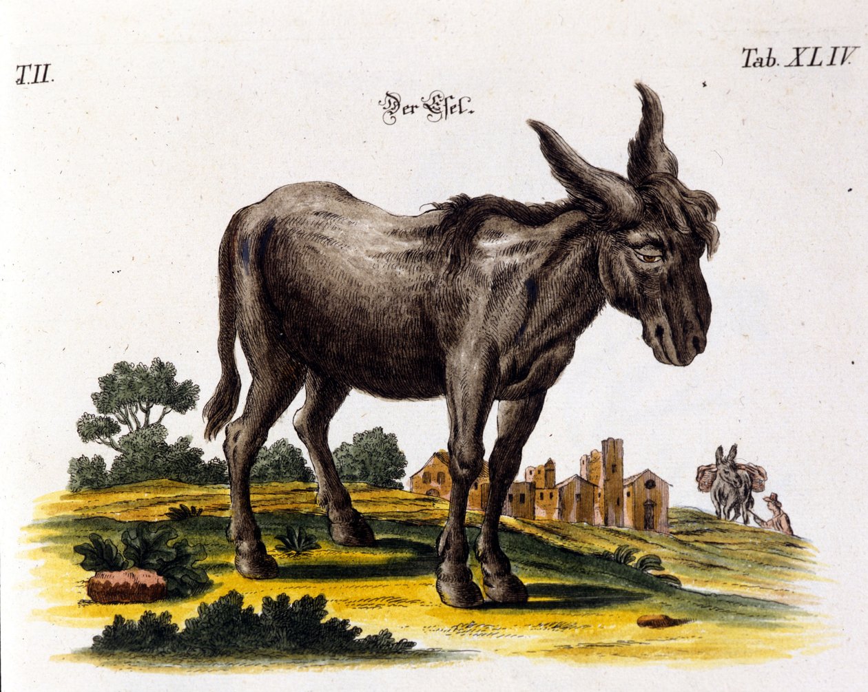 Ankey. 18. yüzyıl temsili. by Unknown artist