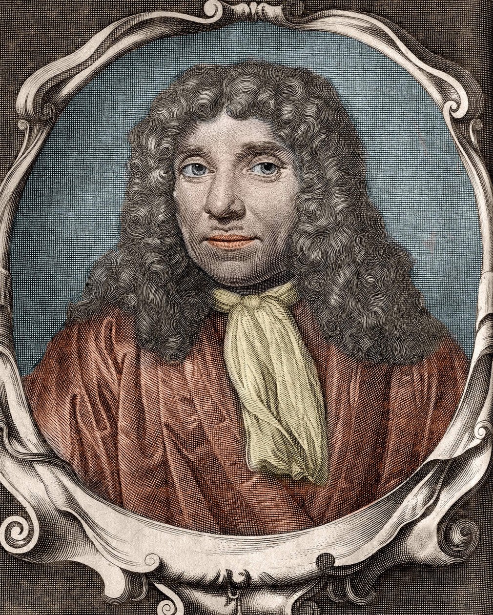 Anthony Van Leeuwenhoek veya Anton van Leeuwenhoek veya Leeuvenhoek veya Leeuwenhoeck.Hollandalı doğa bilimci (1632-1723). 18. yüzyıl gravürü by Unknown artist
