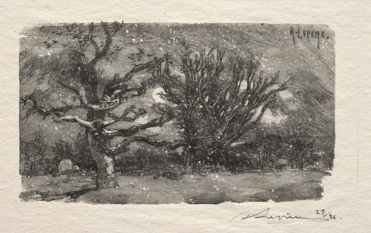Lantara yurdunda by Unknown artist