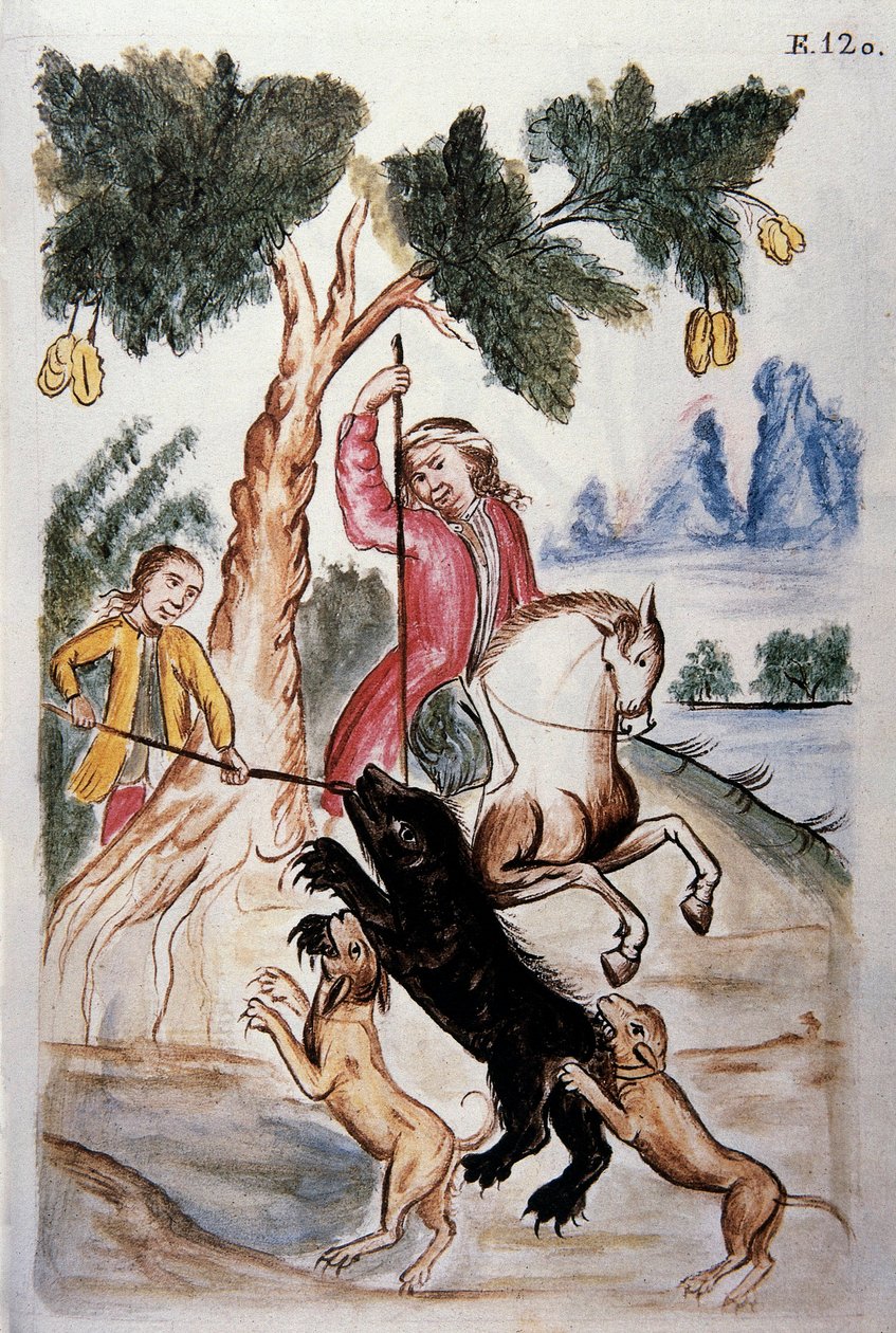 Baltazar Martinez Compañón y Bujanda, Trujillo piskoposu (1782-1785) tarafından yazılan "Trujillo del Peru" veya "Códice Martínez Compañón" kitabından ayı avı by Unknown artist