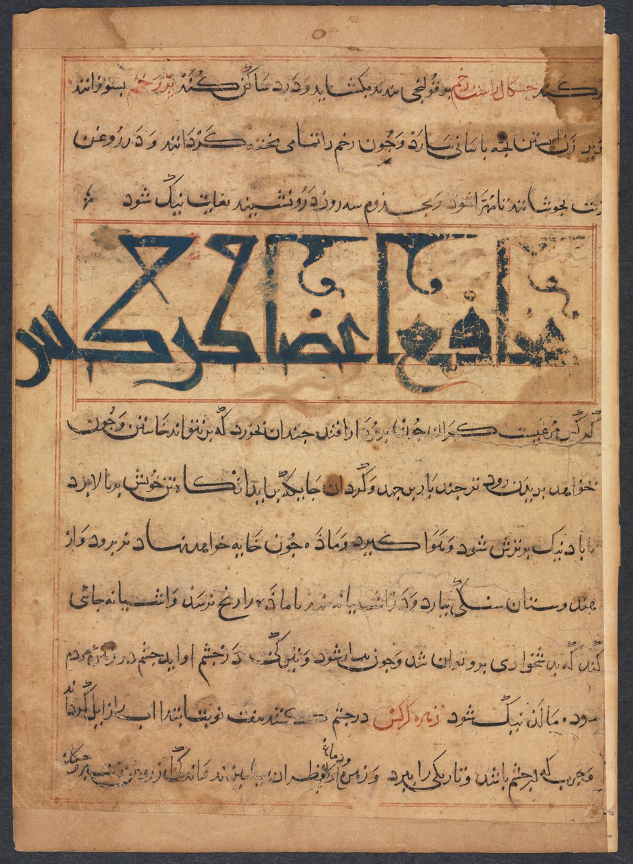 "Akbaba Parçalarının Faydaları" (Ebu Sai'd Ubeyd-Allay İbn Bakhtishu'nun Manafi' al-Haywan'ından) (recto) by Unknown artist