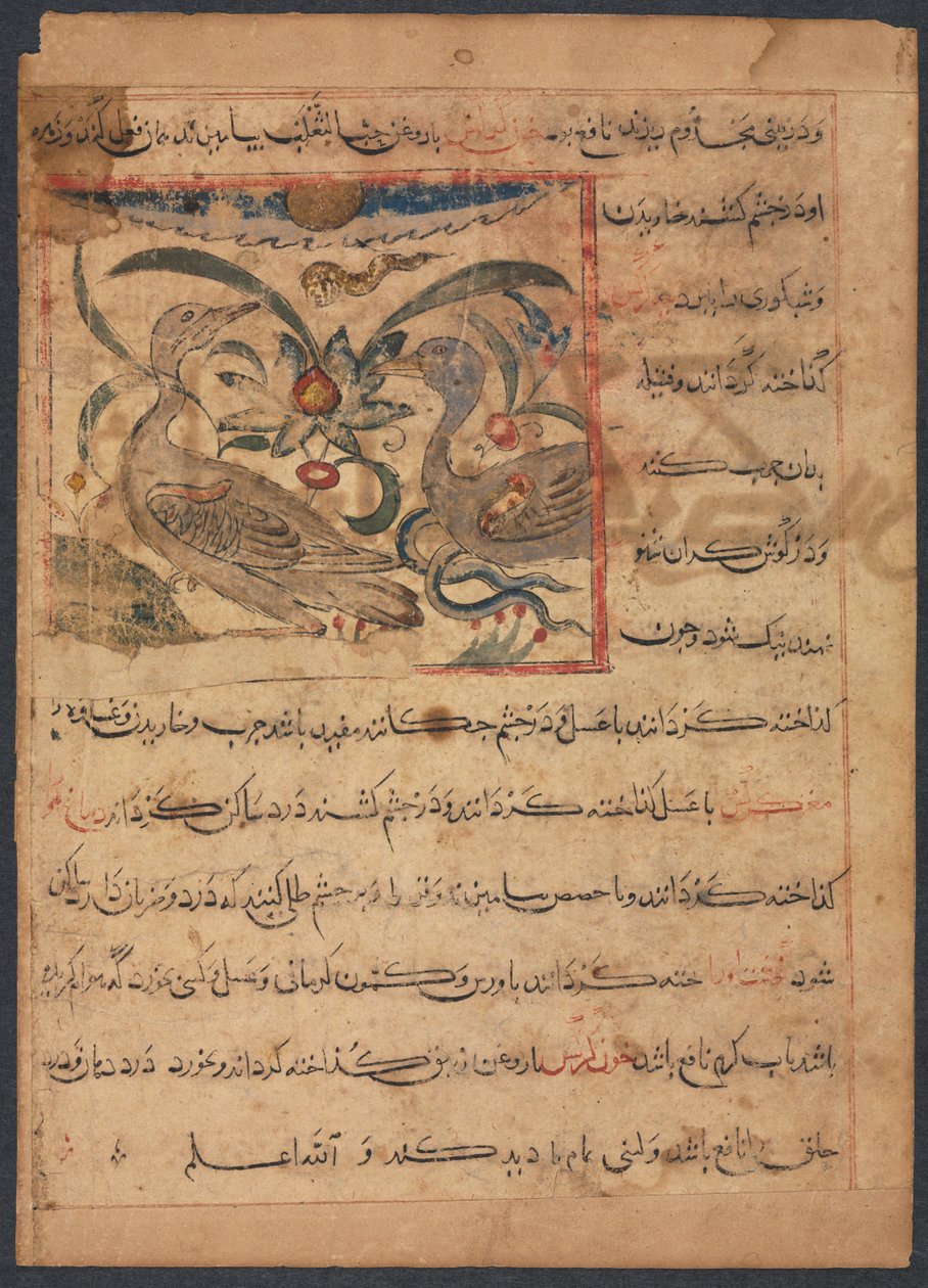 "Akbaba Parçalarının Faydaları" (Ebu Sai'd Ubeyd-Allay İbn Bakhtishu'nun Manafi' al-Haywan'ından) (versi) by Unknown artist