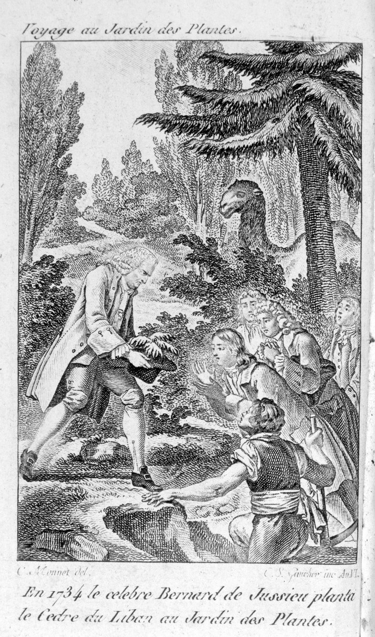 Bernard de Jussieu, Fransız botanikçi (1699-1777) Paris