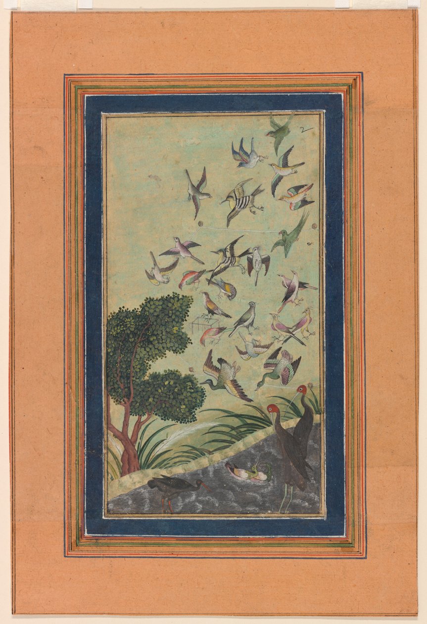 Baran