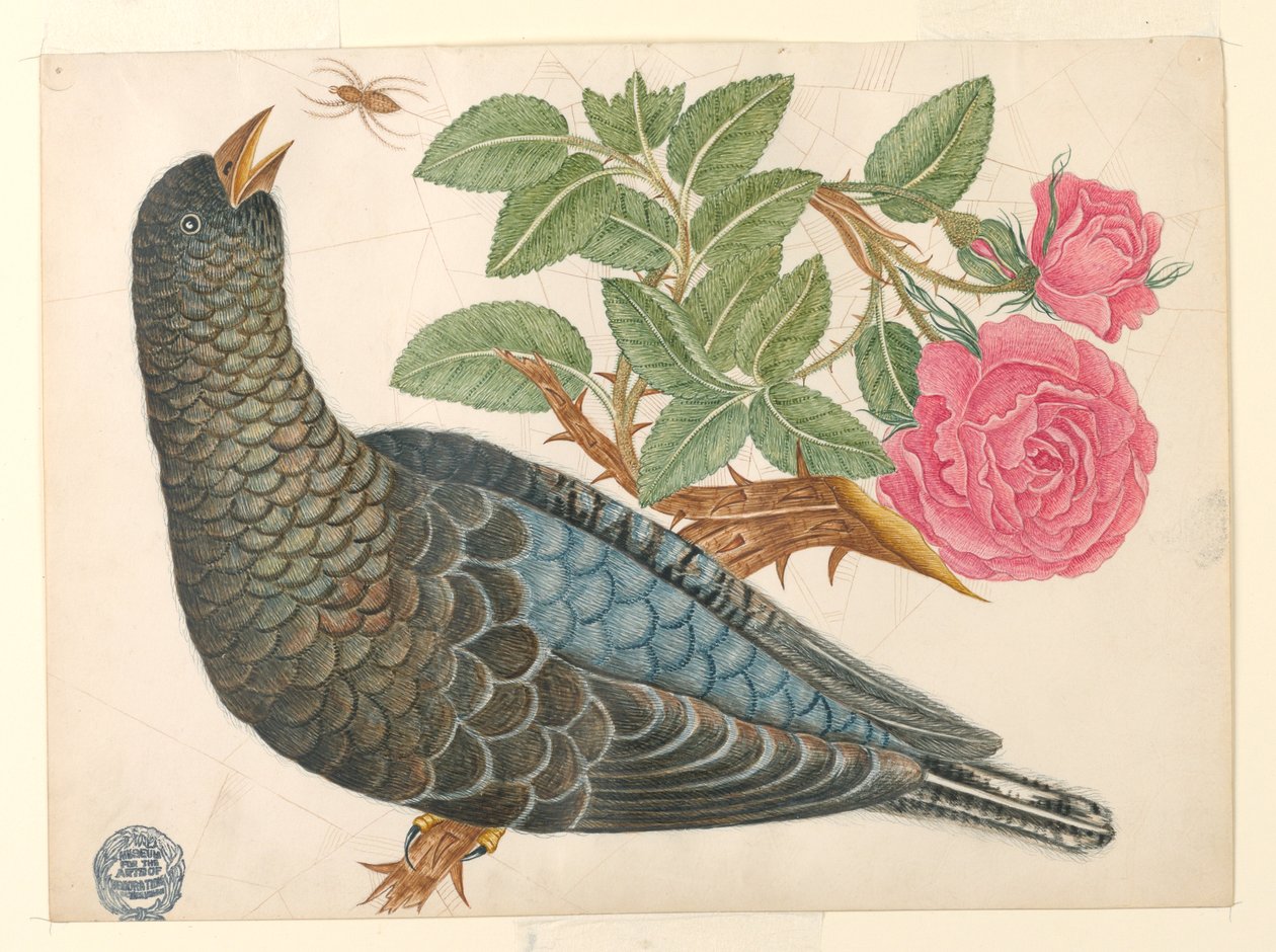 Örümcek ile gül dalında mavi-siyah kuş by Unknown artist