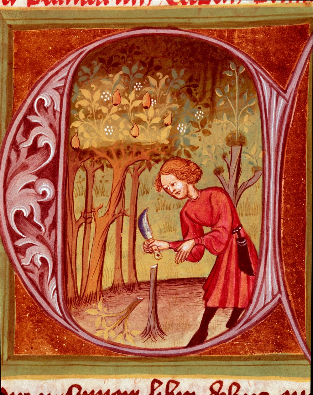 Botanik: Organ nakli yapan bir bahçıvan. Pietro de Crescenzi (Hilal Taşı veya Crescens Taşı) (1233-1320) tarafından “Rustican veya Book of Country and Rural Profit”ten (Rerum Ruralium commodorum) alınan minyatür, 14. yüzyıl Prag, Ulusal Kütüphane by Unknown artist