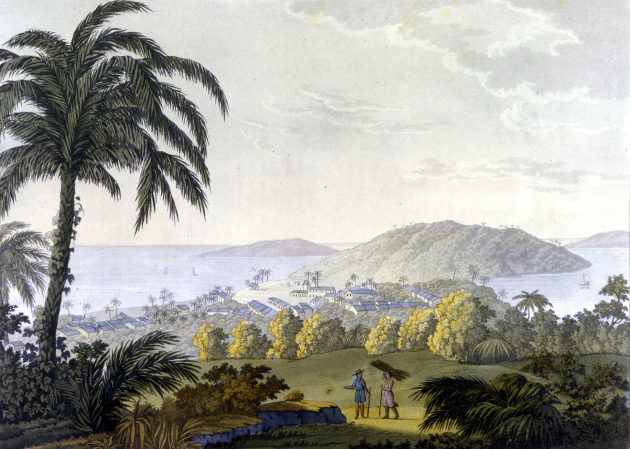 Brezilya, Bahia eyaletindeki Ilheus şehrinin görünümü by Unknown artist