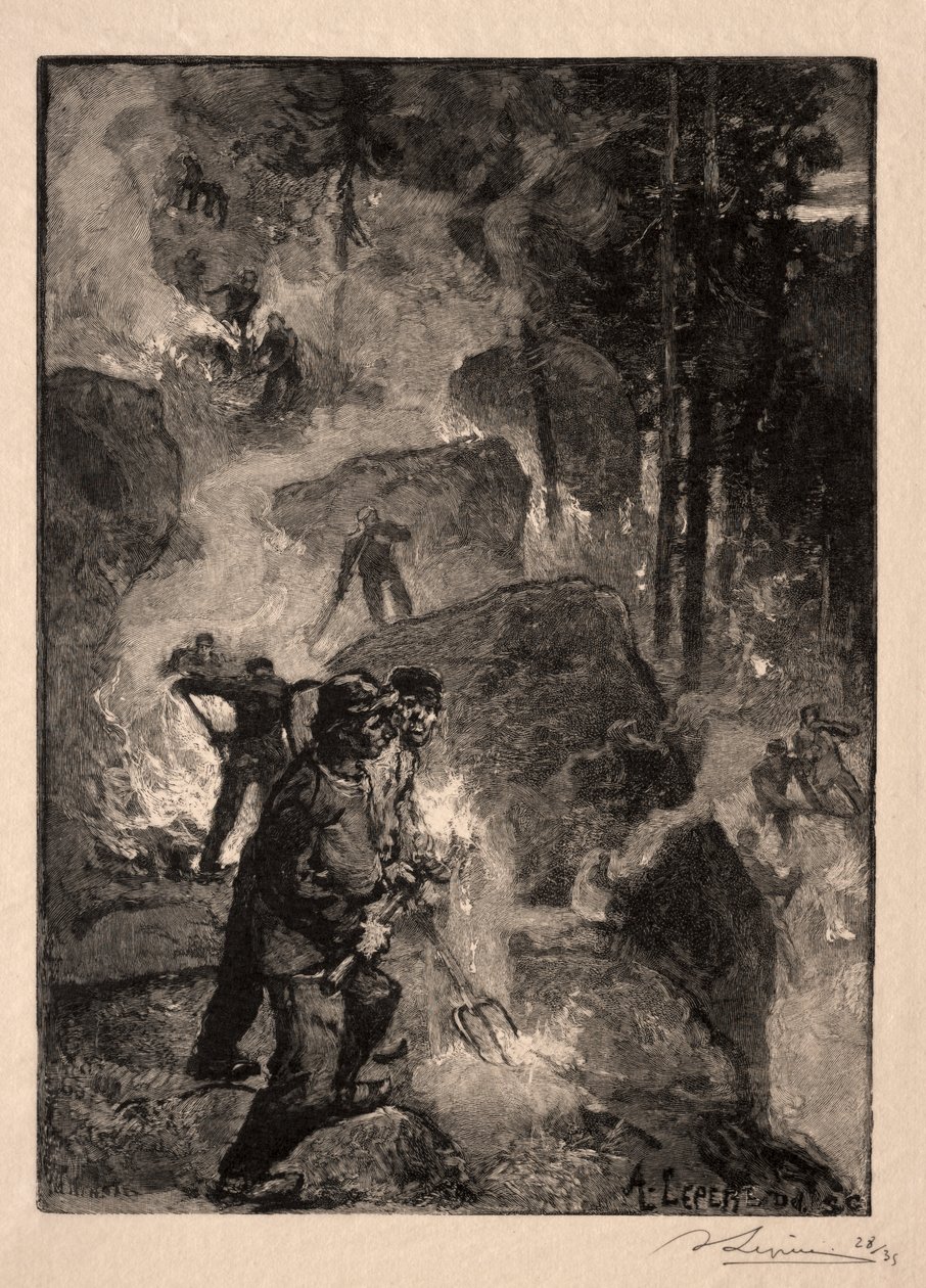 eğrelti otu brülörleri by Unknown artist