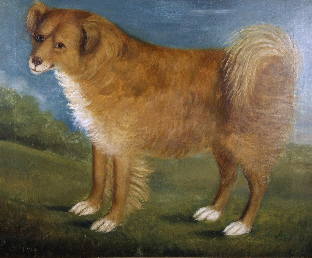 Manzaradaki Kahverengi Köpek, 1850 dolayları (tuval üzerine yağlı boya) by Unknown artist