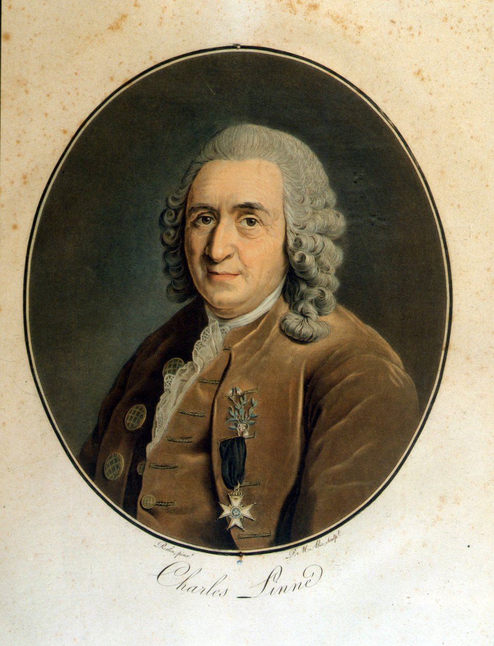 Carl Von Linné İsveçli doğa bilimci ve yazar (1707 - 1778) by Unknown artist
