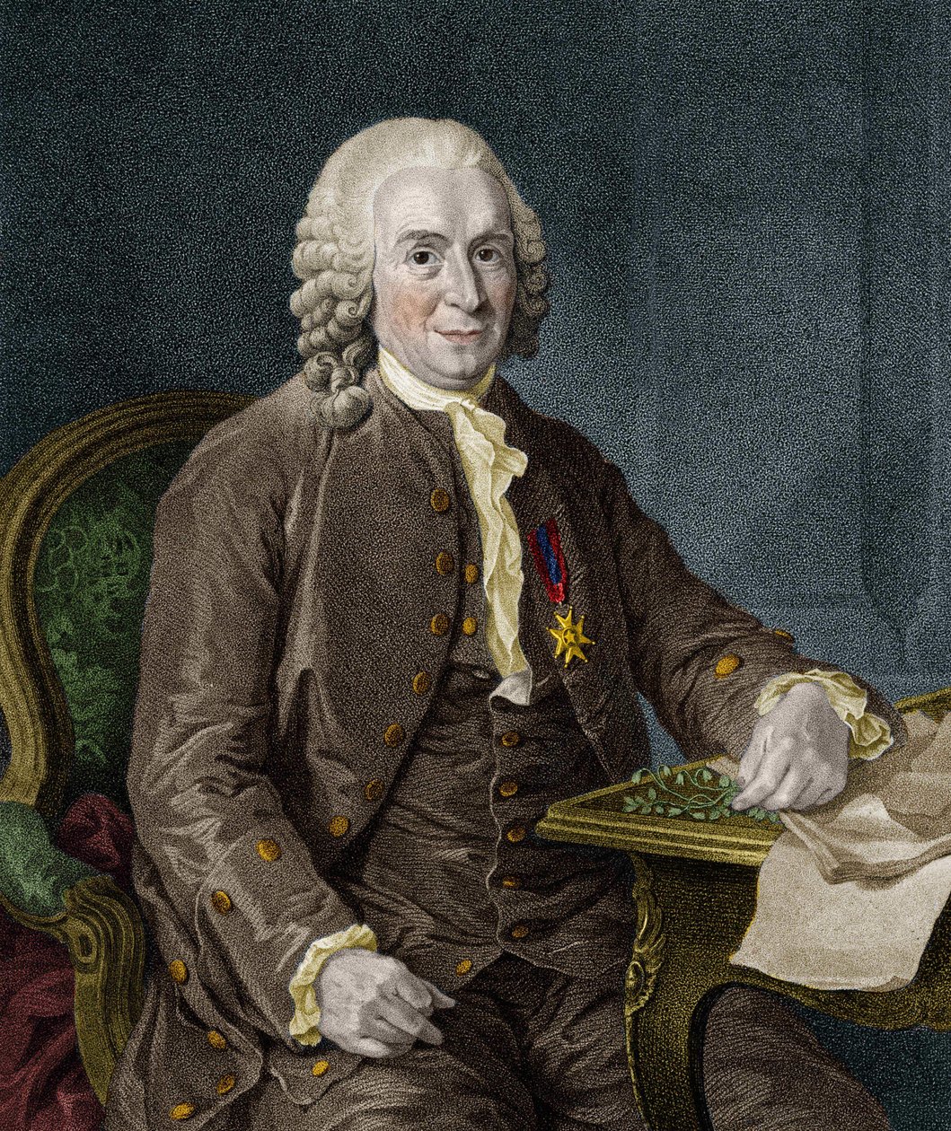 Carl Von Linné İsveçli doğa bilimci ve yazar (1707-1778). by Unknown artist
