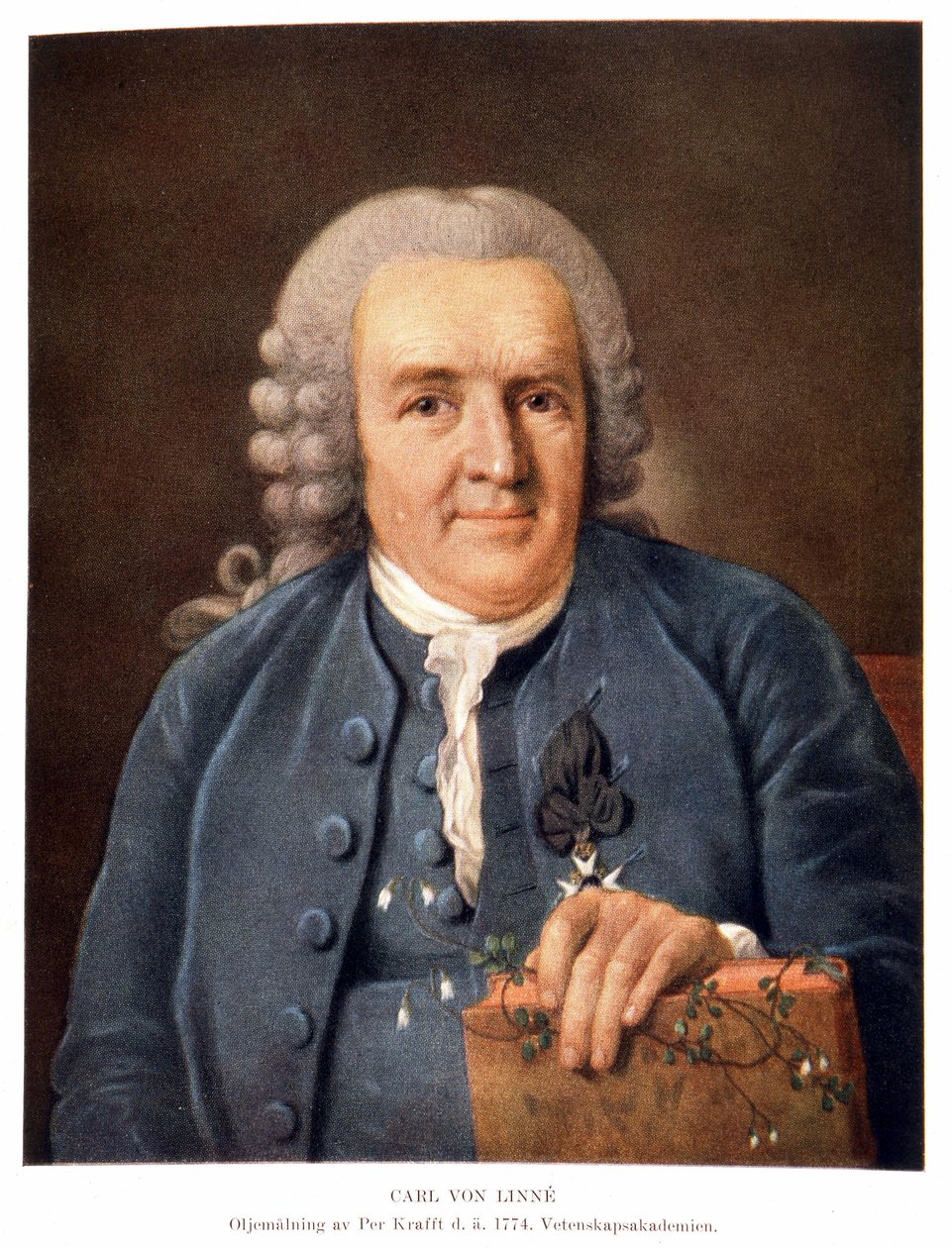 Carl Von Linné İsveçli doğa bilimci ve yazar by Unknown artist