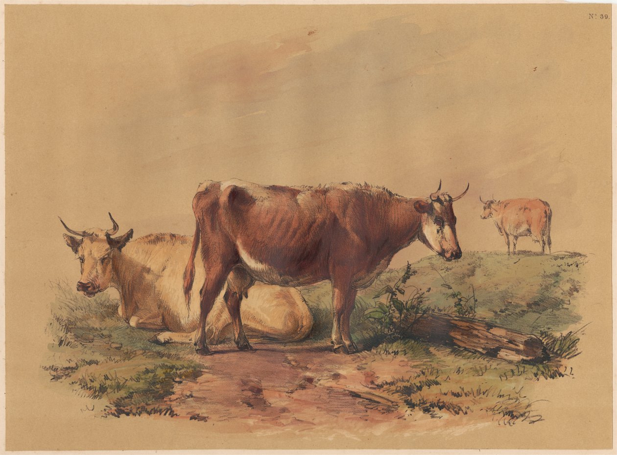 Sığırlar by Unknown artist