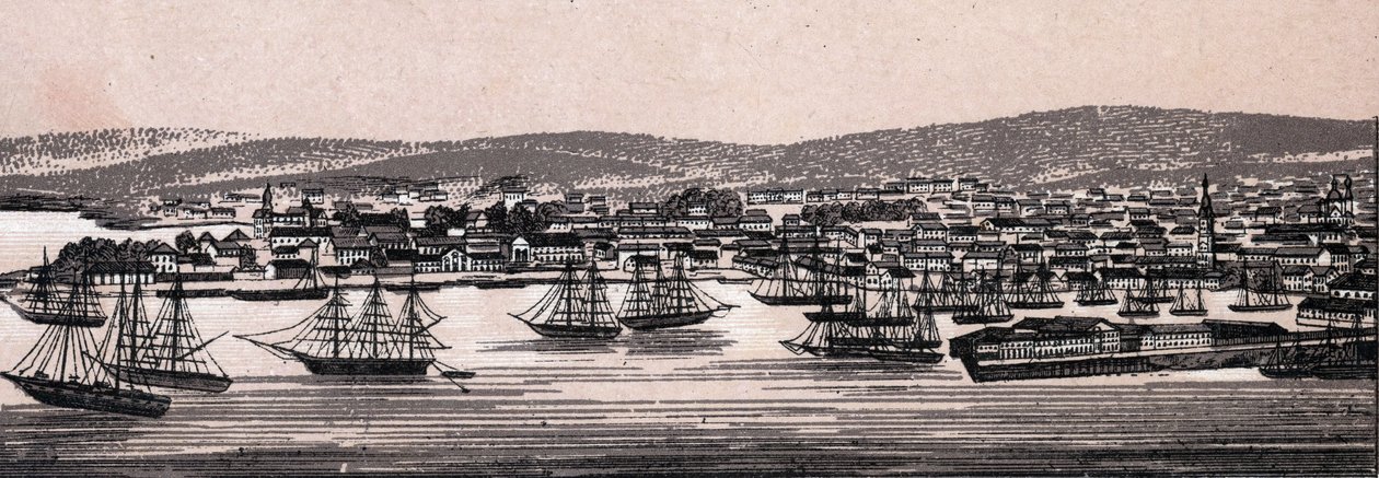 Christiania, Danimarka: şehir görünümü (Genel Görünüm). “” Dünya 168 görüş gösteriyor”” Tarihsiz (19. yüzyılın sonu) by Unknown artist
