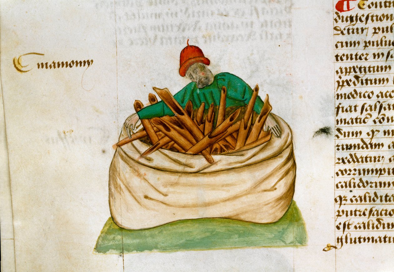 Tarçın Satıcısı Şifalı bitkilerin tanımı ve nasıl hazırlanacağı. El yazması sayfası “” Otlar üzerinde tedaviler”” (Tractatus de herbis) Pedanius Dioscorides (Dioscorides) (MS 40-90) Lat.1152 by Unknown artist