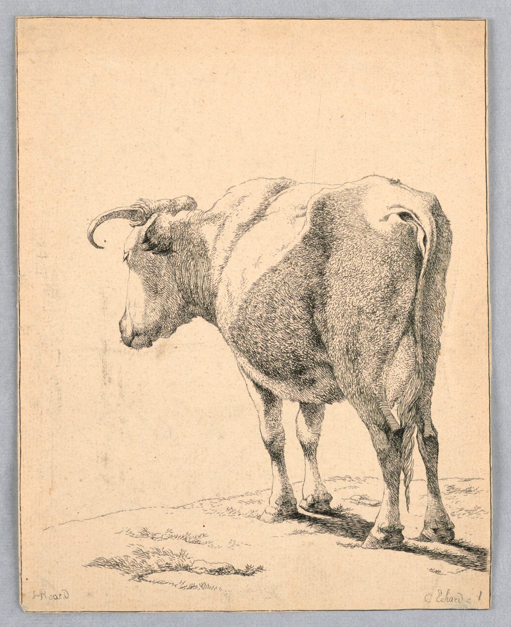 İnek by Unknown artist
