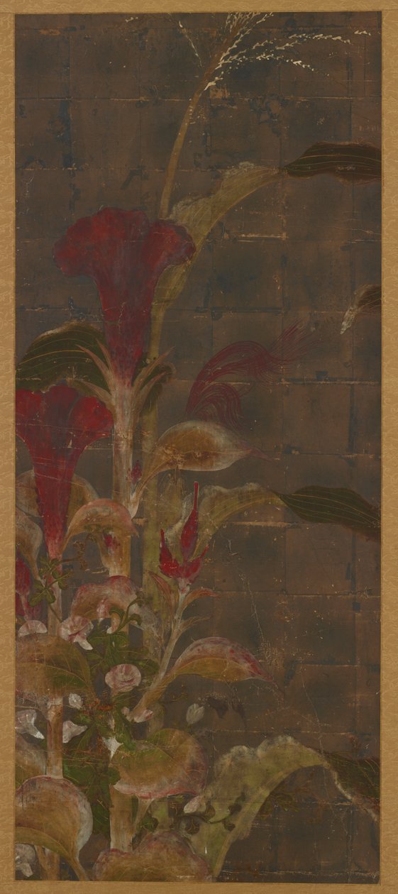 Coxcombs, mısır ve sabah zaferleri by Unknown artist