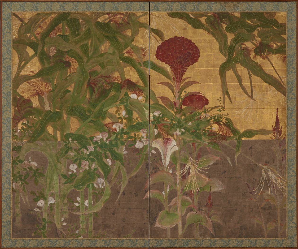 Coxcombs, mısır ve sabah zaferleri by Unknown artist