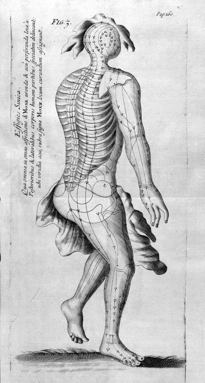 W.Ten Ren tarafından De Akupunktur. Londra 1683. Akupunktur ile ilgili ilk Batı metni. by Unknown artist