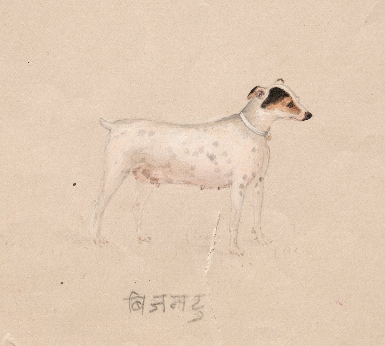 Köpek by Unknown artist