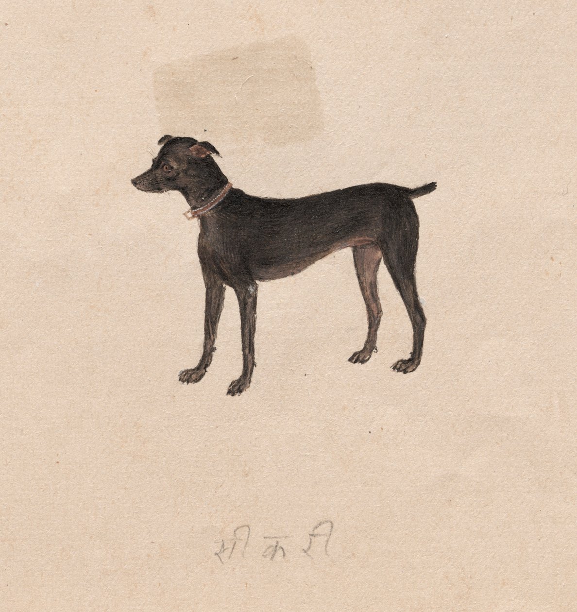 Köpek by Unknown artist