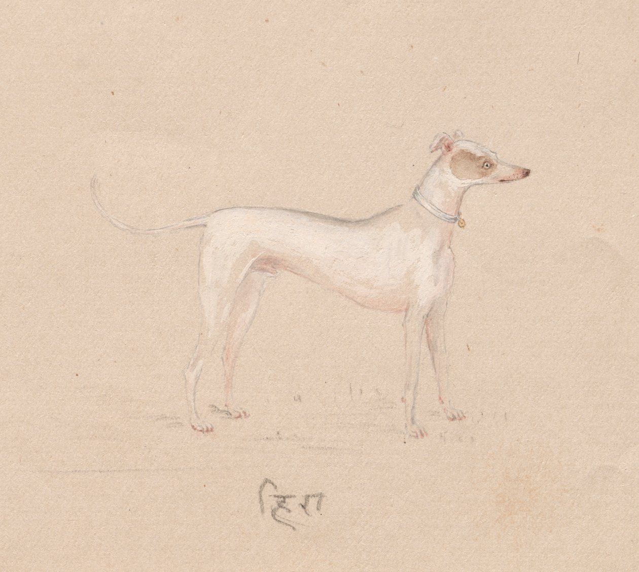 Köpek by Unknown artist