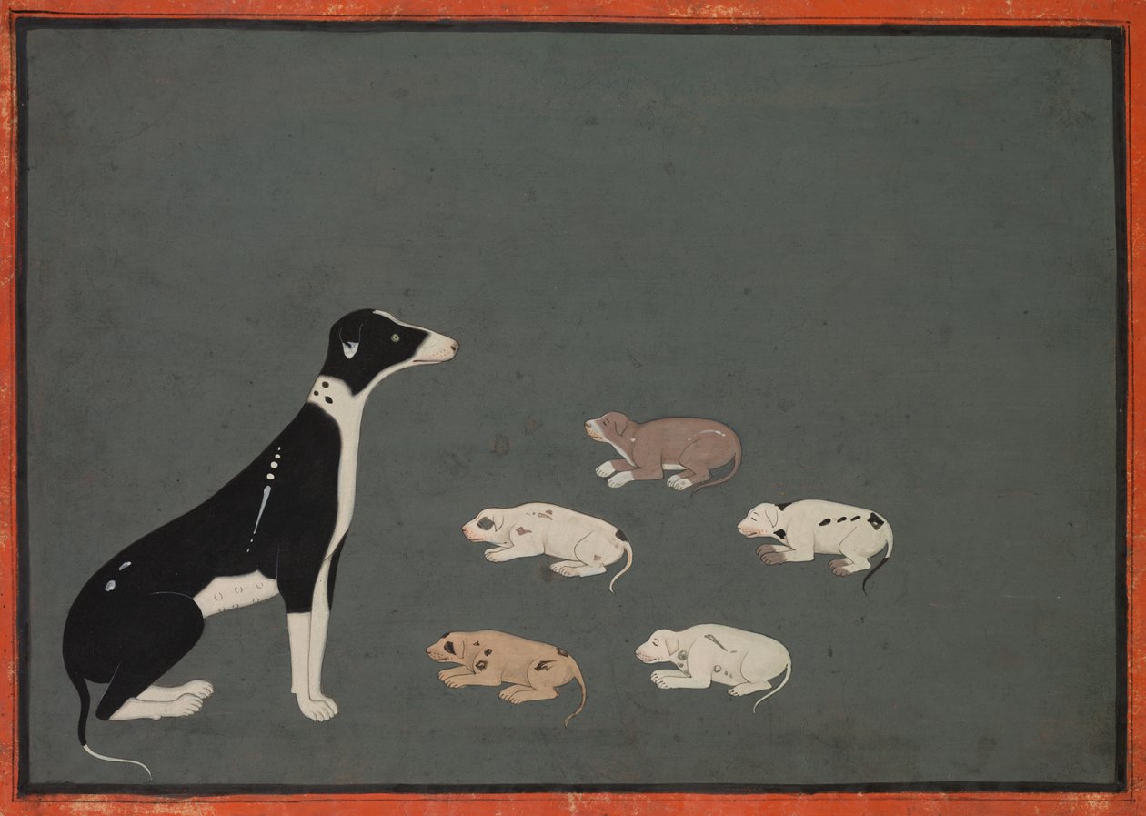 köpek yavrusu by Unknown artist