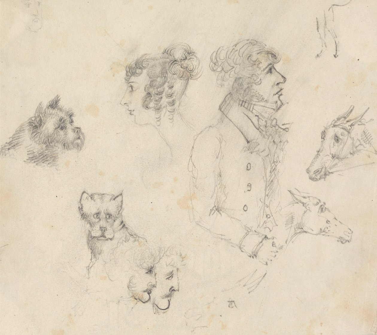 Köpekler, İnsanlar ve Atlar by Unknown artist