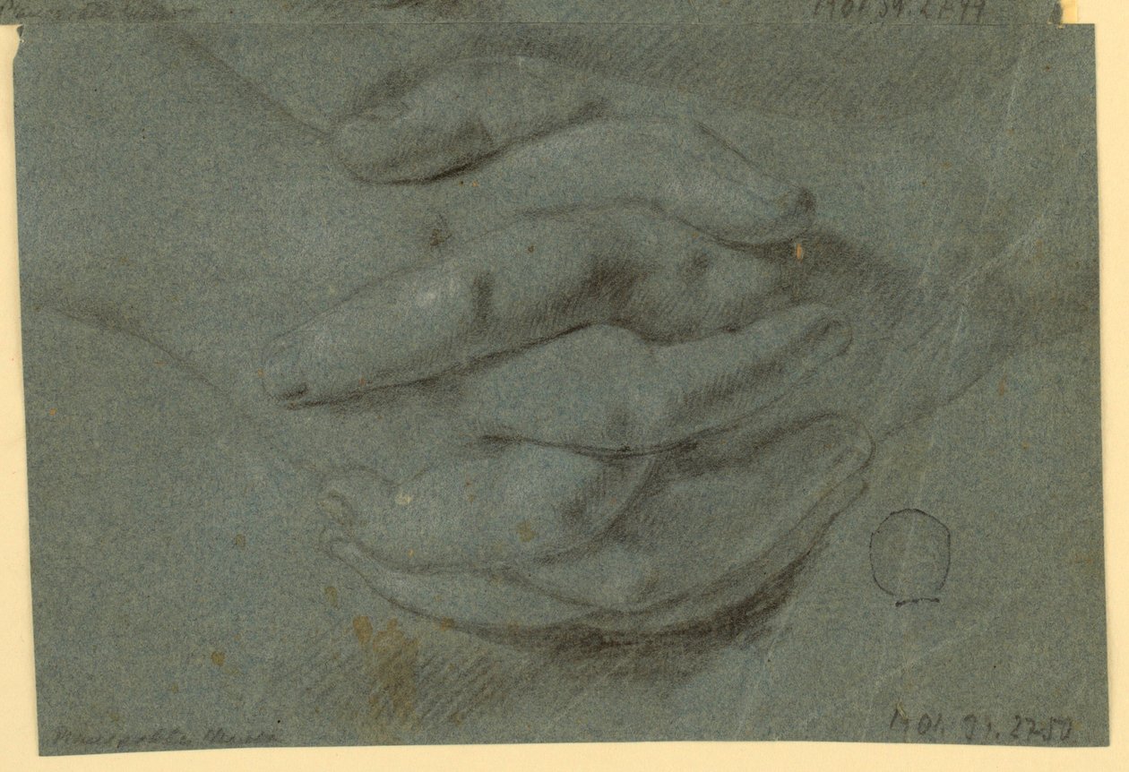Çizim: Katlanmış eller için bir çalışma by Unknown artist