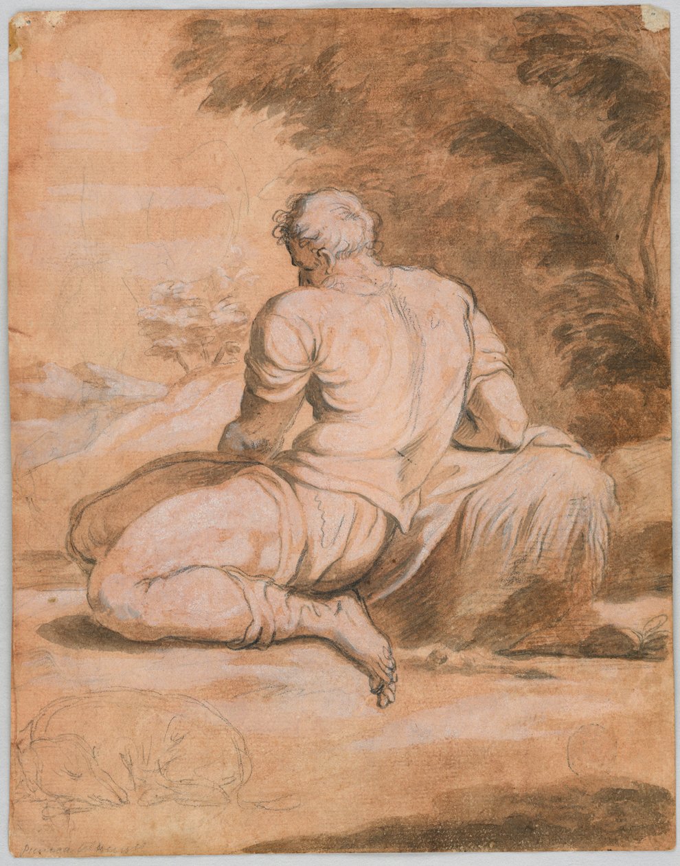Çizim çalışması: Nergis (?) by Unknown artist